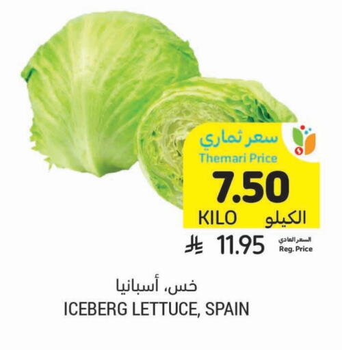 Lettuce from Spain available at Tamimi Market in KSA, Saudi Arabia, Saudi - Al Hasa