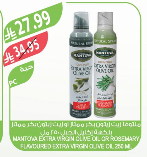 Rosemary available at Farm  in KSA, Saudi Arabia, Saudi - Abha