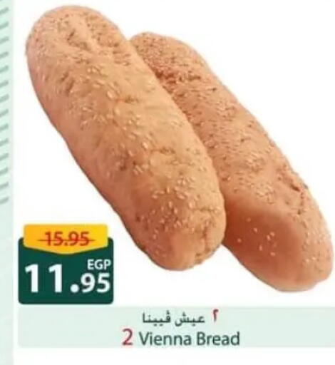 available at Spinneys  in Egypt - Cairo