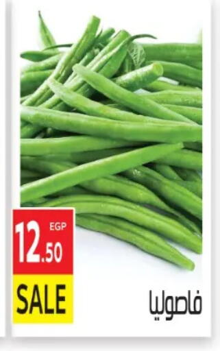 available at المحلاوي ماركت in Egypt - القاهرة
