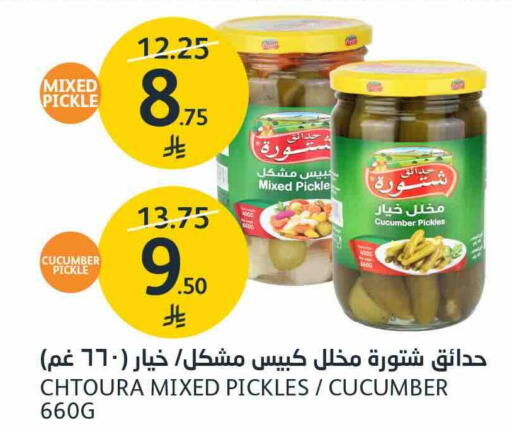 Cucumber available at مركز الجزيرة للتسوق in مملكة العربية السعودية, السعودية, سعودية - الرياض