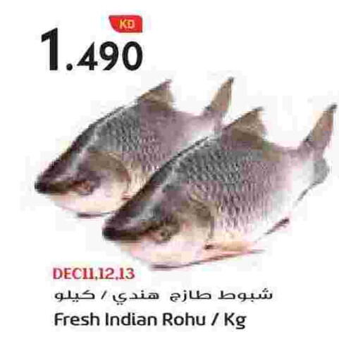 available at Grand Hyper in Kuwait - Ahmadi Governorate