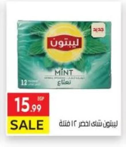 Mint available at المحلاوي ماركت in Egypt - القاهرة