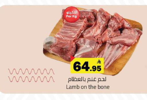 available at مخازن هايبرماركت in مملكة العربية السعودية, السعودية, سعودية - تبوك