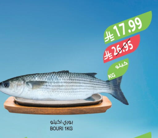 available at Farm  in KSA, Saudi Arabia, Saudi - Jazan