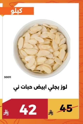 available at Forat Garden in KSA, Saudi Arabia, Saudi - Mecca