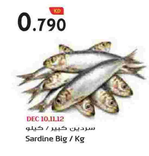 available at جراند هايبر in الكويت - محافظة الأحمدي