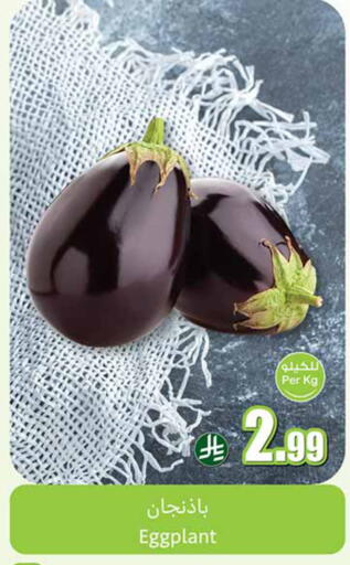 Eggplant available at Othaim Markets in KSA, Saudi Arabia, Saudi - Mecca