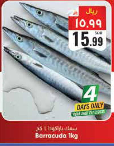 available at ستي فلاور in مملكة العربية السعودية, السعودية, سعودية - حائل‎