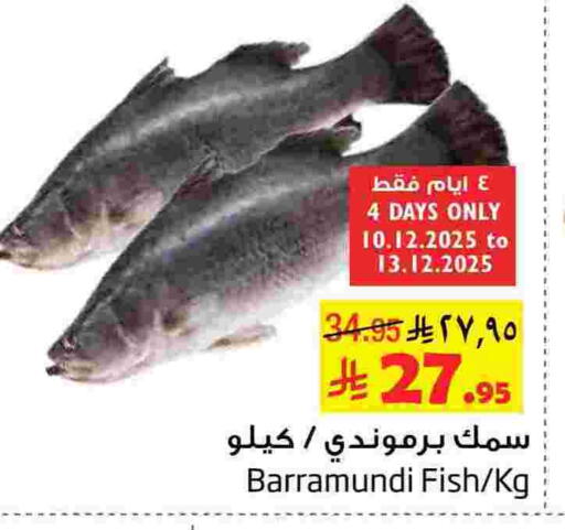 available at Layan Hyper in KSA, Saudi Arabia, Saudi - Al Khobar