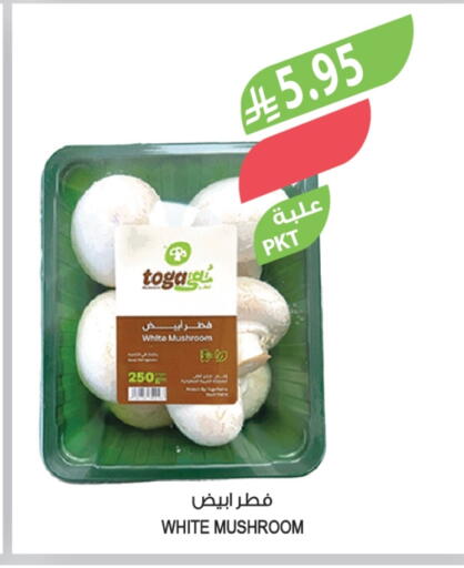 Mushroom available at Farm  in KSA, Saudi Arabia, Saudi - Al-Kharj