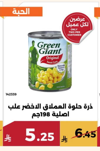 available at Forat Garden in KSA, Saudi Arabia, Saudi - Mecca