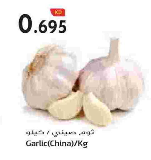 Garlic from China available at Grand Hyper in Kuwait - Jahra Governorate
