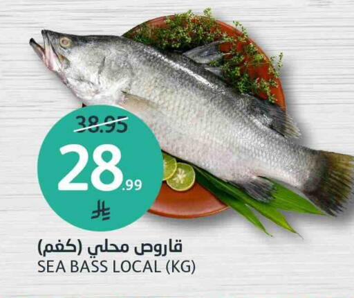 available at مركز الجزيرة للتسوق in مملكة العربية السعودية, السعودية, سعودية - الرياض