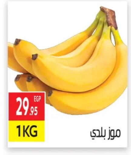 available at المحلاوي ماركت in Egypt - القاهرة