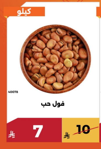 available at Forat Garden in KSA, Saudi Arabia, Saudi - Mecca