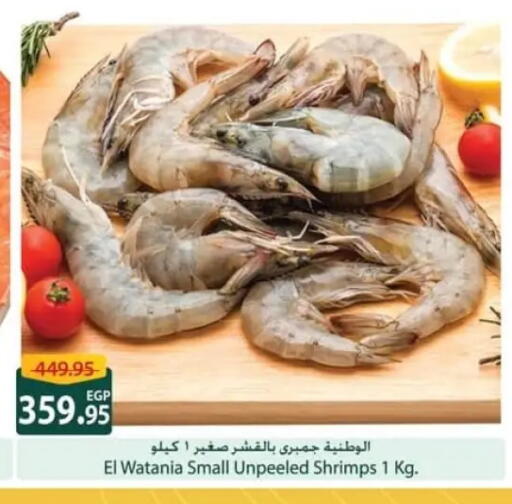 available at سبينس in Egypt - القاهرة