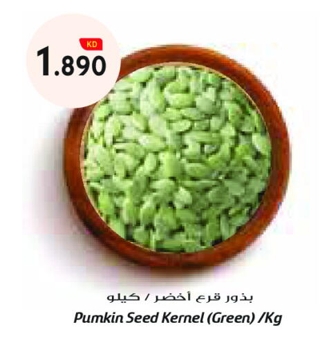 Pumkin available at Grand Costo in Kuwait - Ahmadi Governorate