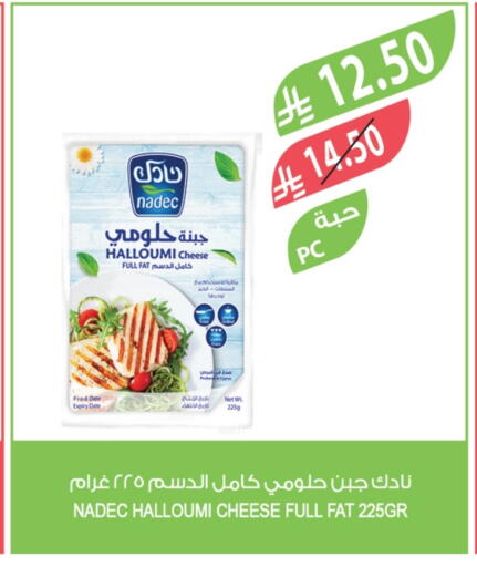 Date available at Farm  in KSA, Saudi Arabia, Saudi - Qatif