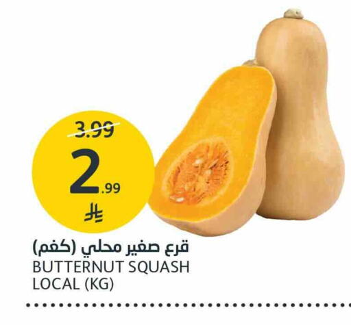Squash available at AlJazera Shopping Center in KSA, Saudi Arabia, Saudi - Riyadh
