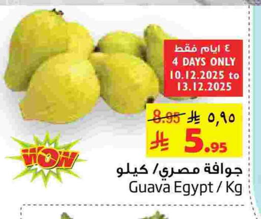 Guava from Egypt available at Layan Hyper in KSA, Saudi Arabia, Saudi - Al Khobar