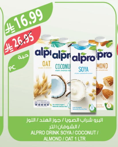 Coconut available at Farm  in KSA, Saudi Arabia, Saudi - Tabuk