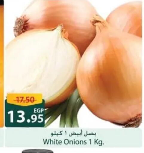 available at Spinneys  in Egypt - Cairo