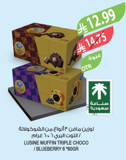 Blueberry BlueBerry available at Farm  in KSA, Saudi Arabia, Saudi - Arar