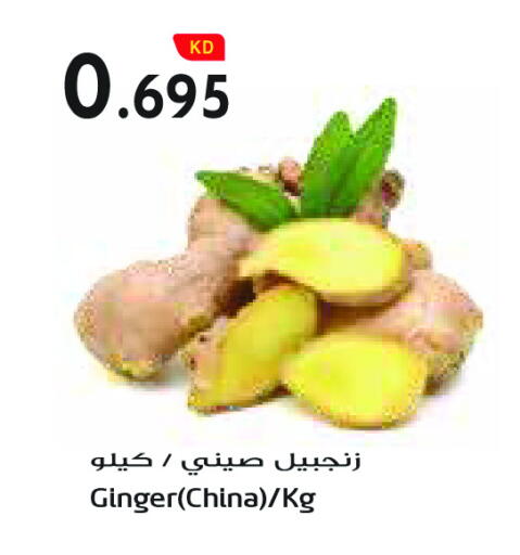 Ginger from China available at Grand Costo in Kuwait - Ahmadi Governorate