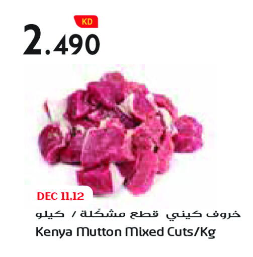 available at Grand Costo in Kuwait - Ahmadi Governorate