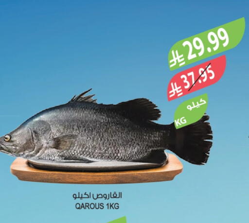 available at Farm  in KSA, Saudi Arabia, Saudi - Sakaka