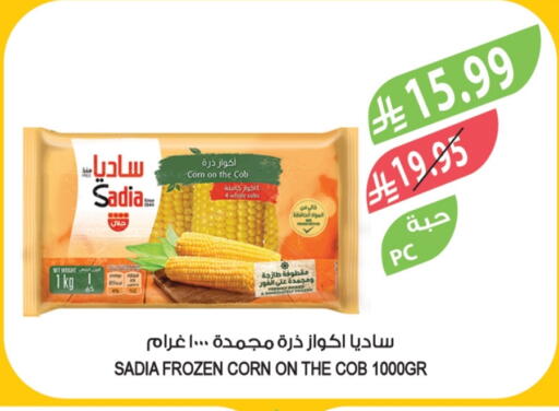 available at Farm  in KSA, Saudi Arabia, Saudi - Yanbu
