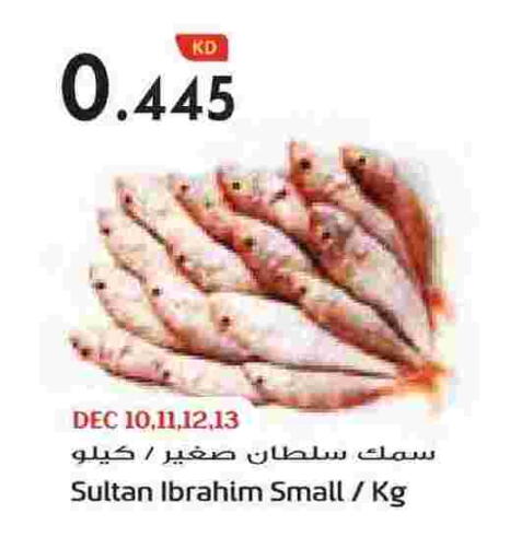 available at Grand Hyper in Kuwait - Ahmadi Governorate