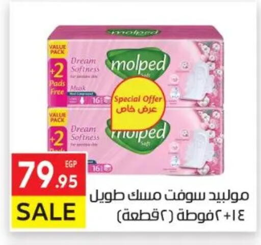 available at El Mahallawy Market  in Egypt - Cairo