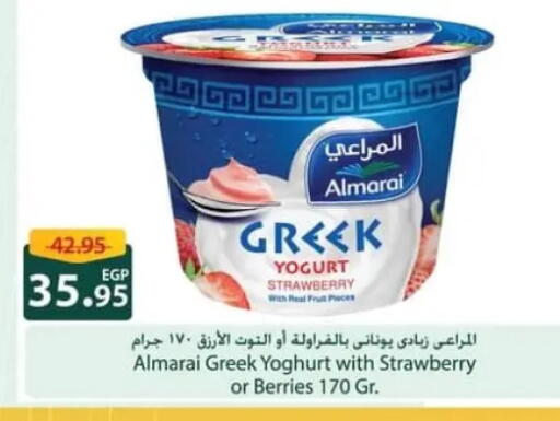 Strawberry available at Spinneys  in Egypt - Cairo