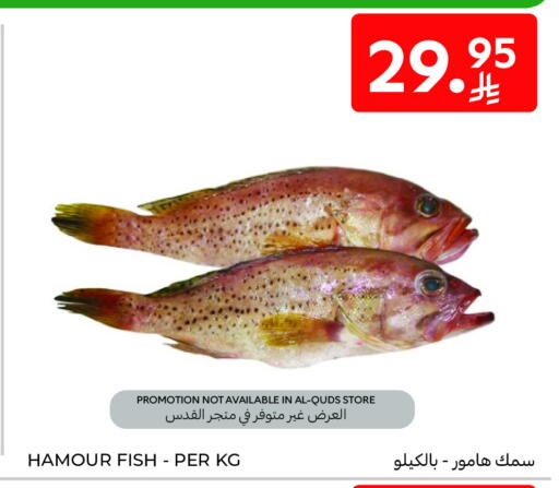 available at Carrefour in KSA, Saudi Arabia, Saudi - Sakaka