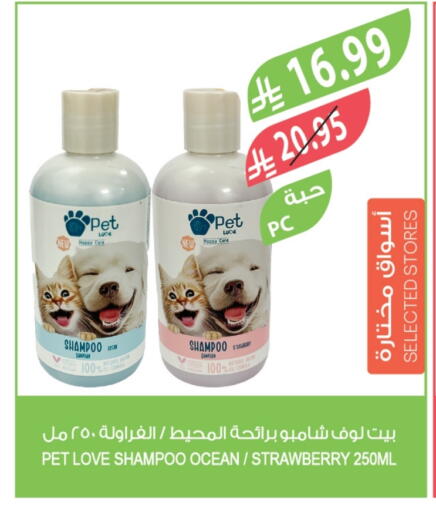 Strawberry available at المزرعة in مملكة العربية السعودية, السعودية, سعودية - عرعر