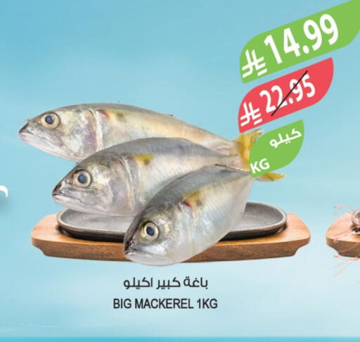 available at Farm  in KSA, Saudi Arabia, Saudi - Sakaka