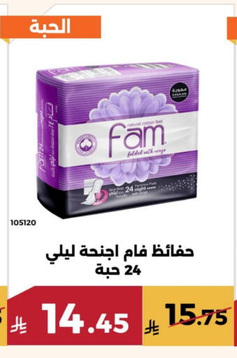 available at Forat Garden in KSA, Saudi Arabia, Saudi - Mecca