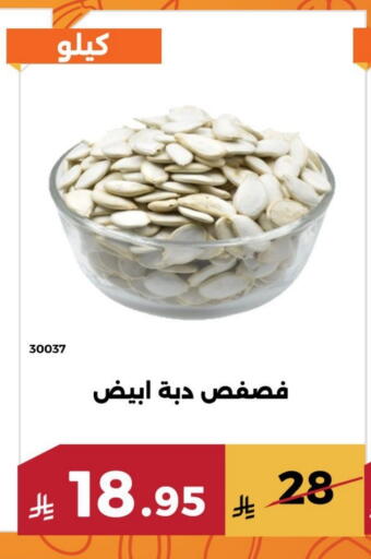 available at Forat Garden in KSA, Saudi Arabia, Saudi - Mecca