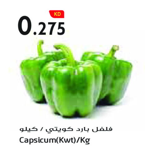 Capsicum available at Grand Costo in Kuwait - Ahmadi Governorate