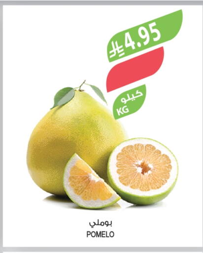 available at المزرعة in مملكة العربية السعودية, السعودية, سعودية - الخرج