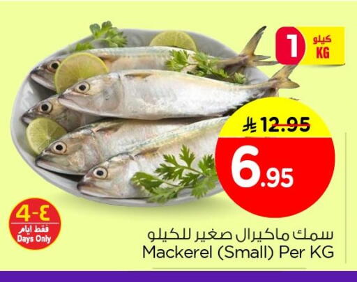 available at نستو in مملكة العربية السعودية, السعودية, سعودية - الجبيل‎