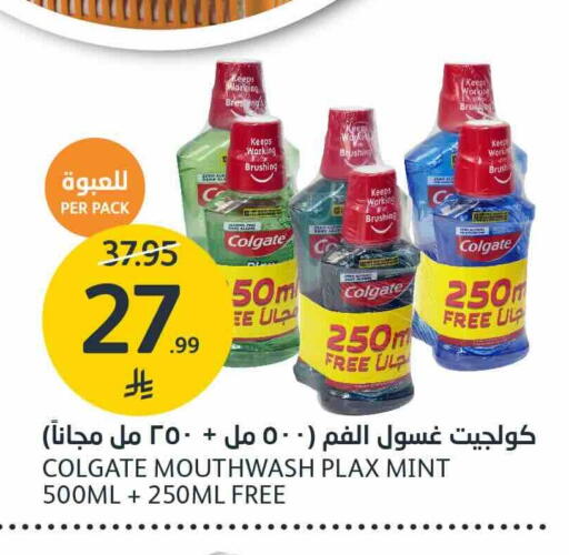 Mint available at AlJazera Shopping Center in KSA, Saudi Arabia, Saudi - Riyadh