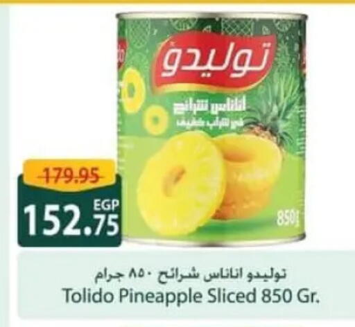 Pineapple available at Spinneys  in Egypt - Cairo