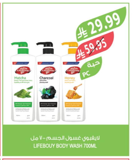 Mint Turmeric available at Farm  in KSA, Saudi Arabia, Saudi - Abha