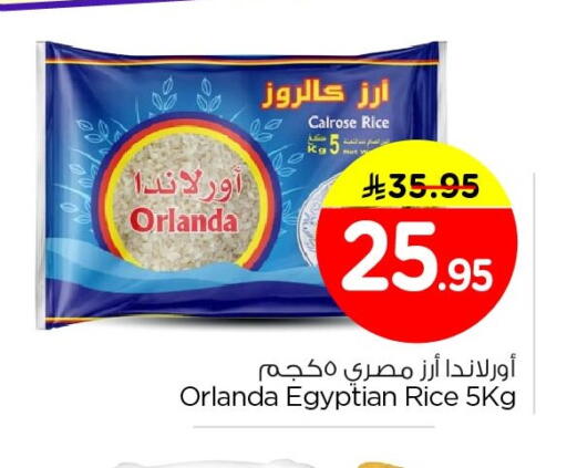 available at نستو in مملكة العربية السعودية, السعودية, سعودية - الأحساء‎