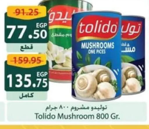 Mushroom available at Spinneys  in Egypt - Cairo