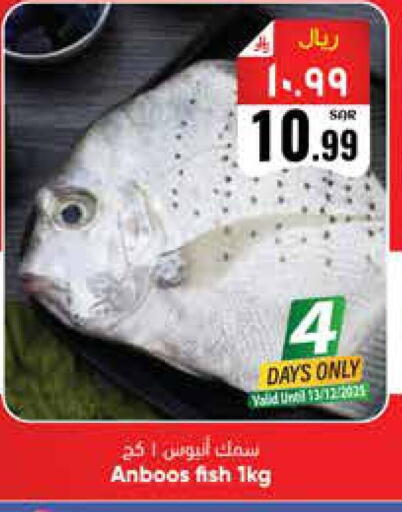 available at City Flower in KSA, Saudi Arabia, Saudi - Riyadh