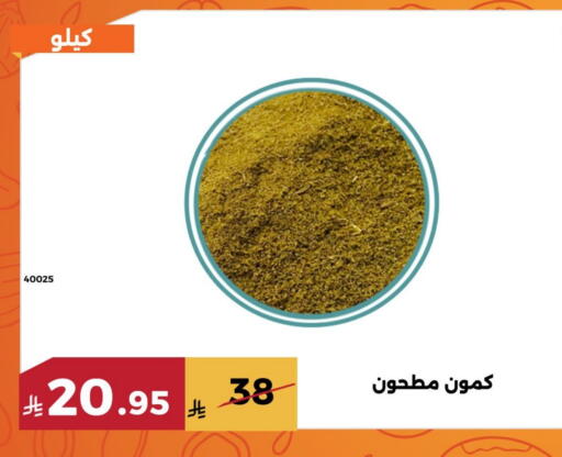 available at Forat Garden in KSA, Saudi Arabia, Saudi - Mecca